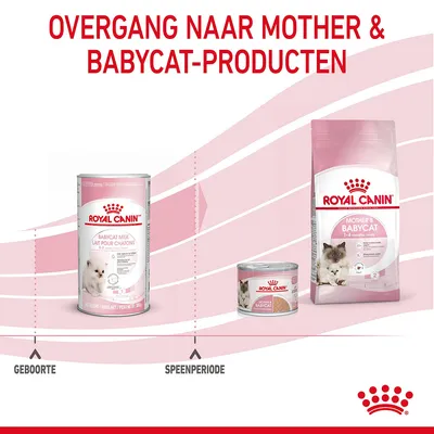 Overgang naar Mother & Babycat-producten van Royal Canin: Babycat Milk bij geboorte, nat- en droogvoer voor moeder en kitten tijdens de speenperiode. Tekst: GEBOORTE, SPEENPERIODE.
