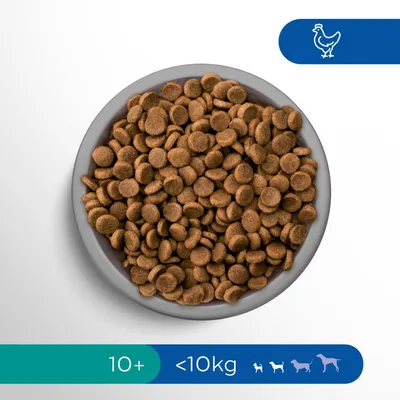 Bowl of dry pet food with icons showing chicken, 10+ years, under 10 kg, and small to large dog silhouettes. No visible brand or product name.