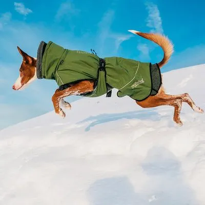 Cão a usar casaco verde com fecho e cinto preto, marca visível: 'ruffwear', em ambiente de neve.