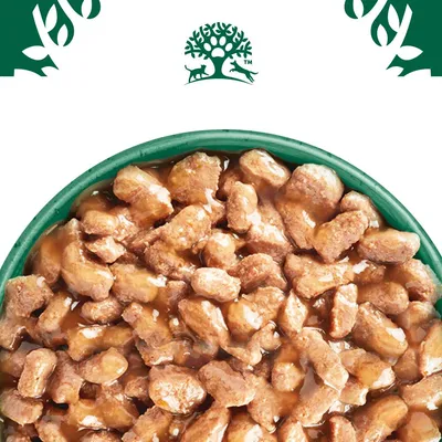 Bowl filled with meaty chunks in gravy, shown close up to display texture and consistency of the wet pet food.