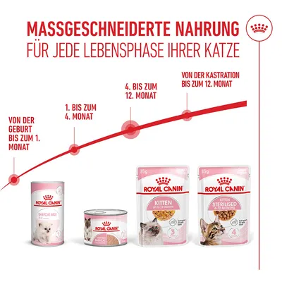 Royal Canin Kitten in Gelee