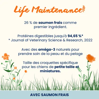 Life Maintenance : 26 % de saumon frais comme ingrédient principal, jusqu'à 94,65 % de protéines digestibles, oméga-3 naturels, croquettes spéciales pour petits chiens et chiens miniatures. Life Maintenance : 26 % de saumon frais comme ingrédient principal, jusqu'à 94,65 % de protéines digestibles, oméga-3 naturels, croquettes spéciales pour petits chiens et chiens miniatures.