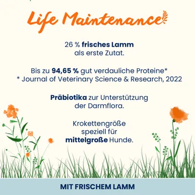 Almo Nature Life Maintenance Adult Lamm & Reis Medium