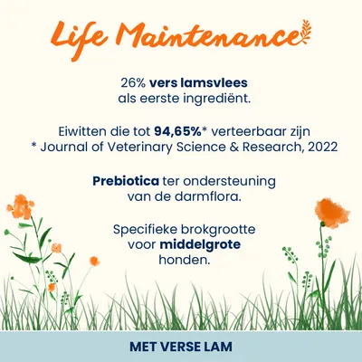 Almo Nature Adult Lam & Rijst Medium Hondenvoer Almo Nature Adult Lam & Rijst Medium Hondenvoer