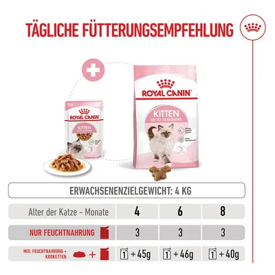 Royal Canin Kitten in Soße