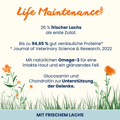 Almo Nature Life Maintenance Adult Lachs und Reis Large