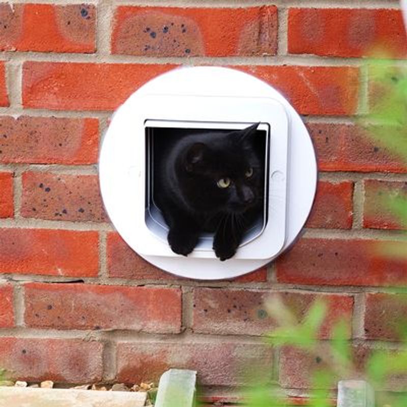 SureFlap Microchip Kattenluik