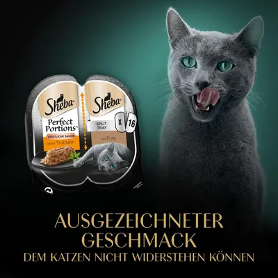 Sheba Perfect Portions Split Tray, köstliche Sauce, zarter Truthahn und mit Ente, 16 Portionen. Ausgezeichneter Geschmack, dem Katzen nicht widerstehen können.