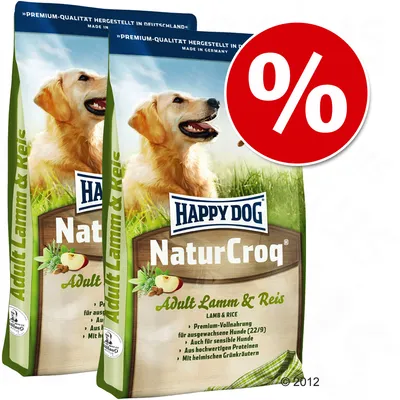 Pachet economic: 2 x saci mari Happy Dog Natur