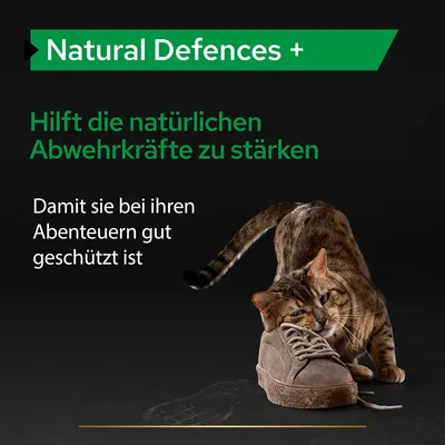Natural Defences +. Hilft die natürlichen Abwehrkräfte zu stärken. Damit sie bei ihren Abenteuern gut geschützt ist. Texte en allemand, chat tigré avec une chaussure.