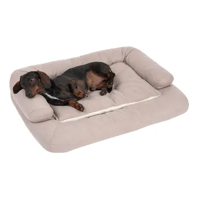 Panier pour chien en tissu beige avec rebords rembourrés, un teckel allongé dessus. Coussin central moelleux, surface plane et bords surélevés visibles.