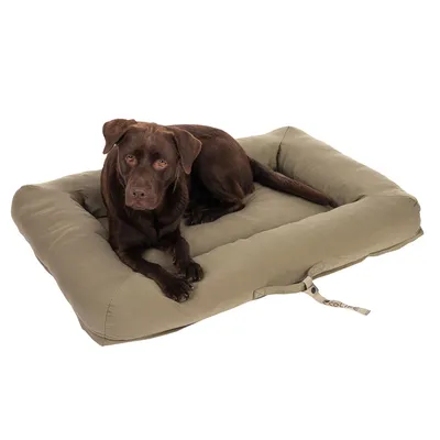 Brauner Hund liegt auf einem olivgrünen Hundebett mit sichtbarem Stoffetikett 'EcoLife'.