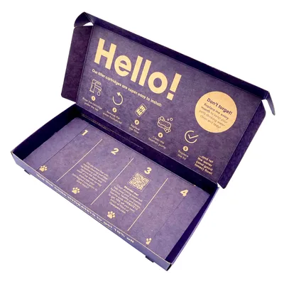 Anleitung zur Installation von Filterkartuschen: 1. Alte Kartusche entfernen, 2. Neue Kartusche einsetzen, 3. Pumpe reinigen, 4. Deckel schliessen. Hinweis: Austausch alle zwei Monate empfohlen.