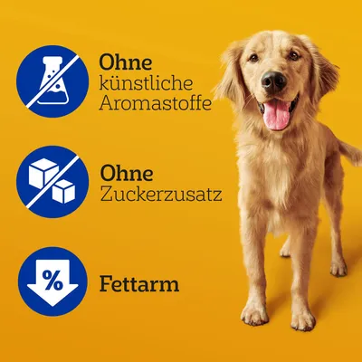 Ohne künstliche Aromastoffe, Ohne Zuckerzusatz, Fettarm – tekst na njemačkom jeziku uz psa na žutoj pozadini.