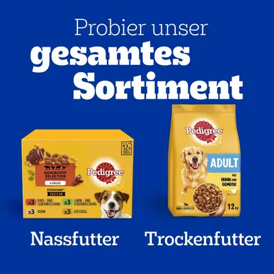 Pedigree mokra hrana 12×100 g in suha hrana Adult s piščancem in zelenjavo 12 kg. Besedilo v nemščini: Probier unser gesamtes Sortiment, Nassfutter, Trockenfutter.