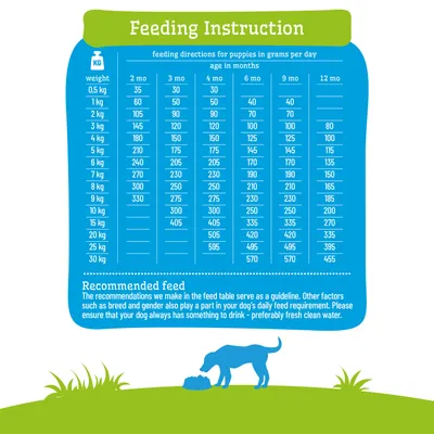 Kŕmna tabuľka pre šteňatá: odporúčané gramy za deň podľa hmotnosti (0,5–30 kg) a veku (2–12 mesiacov). Odporúčanie: Vždy zabezpečte čerstvú vodu. Kŕmna tabuľka pre šteňatá: odporúčané gramy za deň podľa hmotnosti (0,5–30 kg) a veku (2–12 mesiacov). Odporúčanie: Vždy zabezpečte čerstvú vodu.