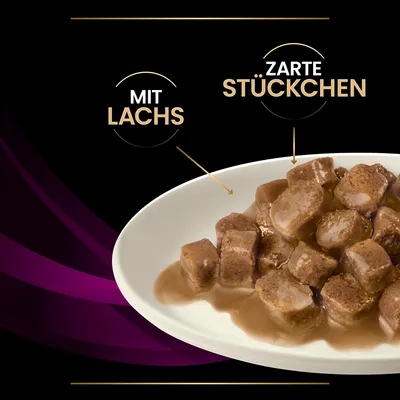 Assiette de bouchées en sauce, texte allemand visible : « MIT LACHS » (avec saumon), « ZARTE STÜCKCHEN » (morceaux tendres)