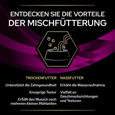 Texte en allemand : découvrez les avantages de l’alimentation mixte. Liste des bénéfices pour croquettes et aliments humides, comme santé dentaire, texture croquante, variété de goûts.