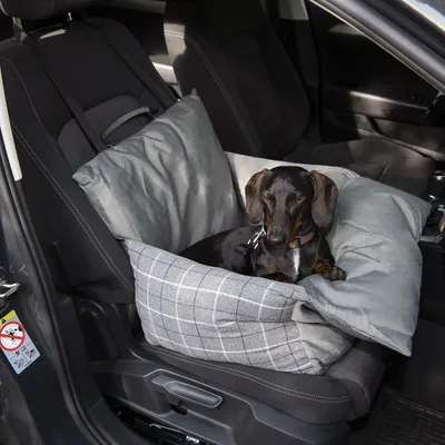 Dog sitting in a grey car seat dog bed with check pattern and safety belt. Bed placed on the front passenger seat of a car.