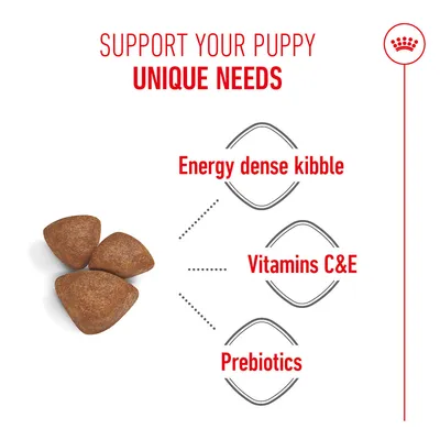 Triangular kibbles with the following features: Energy dense kibble, Vitamins C & E, Prebiotics. Text above: Support your puppy's unique needs.