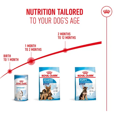Royal Canin Babydog Milk for 0–2 weeks, Starter Maxi for 1–2 months, Puppy Maxi for 2–15 months. Nutrition tailored to your dog's age. Royal Canin Babydog Milk for 0–2 weeks, Starter Maxi for 1–2 months, Puppy Maxi for 2–15 months. Nutrition tailored to your dog's age.