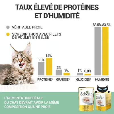 Comparatif Schesir thon avec filets de poulet en gelée vs véritable proie : protéines 14 %/11 %, graisses 1 %/3 %, glucides 0,8 %/1 %, humidité 83,5 %. Paquets Schesir visibles.
