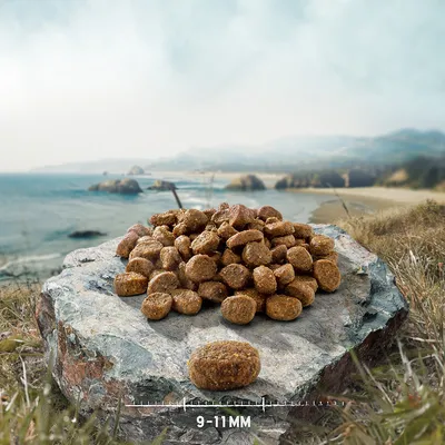 Close-up of brown kibbles on a stone, with size indication 9-11 mm in the foreground.