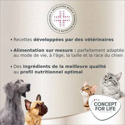 Recettes développées par des vétérinaires, alimentation sur mesure selon mode de vie, âge, taille et race du chien, ingrédients de qualité au profil nutritionnel optimal. Concept for Life.