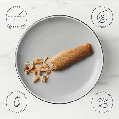 Encore Filet de thon pour chat