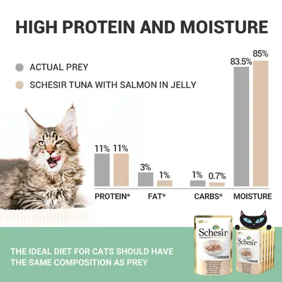 Porovnanie zloženia: Schesir Tuna with Salmon in Jelly vs. skutočná korisť – bielkoviny 11 %, tuk 3 %/1 %, sacharidy 1 %/0,7 %, vlhkosť 83,5 %/85 %. Balenie Schesir na obrázku.