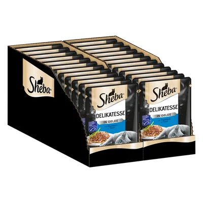 Lot de sachets Sheba Delikatesse in Gelee au thon, emballage noir avec visuel de poisson et chat, texte en allemand visible sur les paquets.