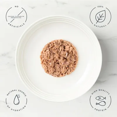 Encore Cat Pouch in Broth Saver Pack 20 x 50g