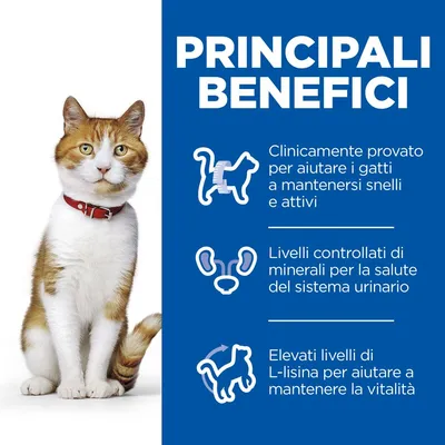 PRINCIPALI BENEFICI: Clinicamente provato per aiutare i gatti a mantenersi snelli e attivi. Livelli controllati di minerali per la salute del sistema urinario. Elevati livelli di L-lisina.