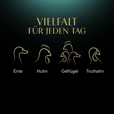 Texte en allemand : 'VIELFALT FÜR JEDEN TAG'. Illustrations et mots : Ente, Huhn, Geflügel, Truthahn. Le texte n’est pas disponible ailleurs sur la page.