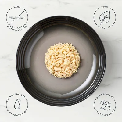 Encore 16 x 70 g boîtes pour chat
