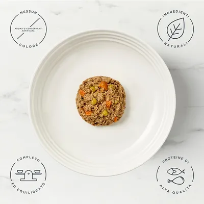 Provalo! Set misto Encore Pâté Fresh Selection Alimento umido per cani
