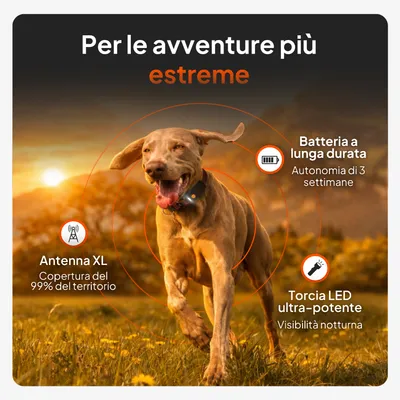 Antenna XL con copertura del 99%, batteria durevole con autonomia di 3 settimane, torcia LED ultra-potente per visione notturna. Ideale per avventure estreme. Antenna XL con copertura del 99%, batteria durevole con autonomia di 3 settimane, torcia LED ultra-potente per visione notturna. Ideale per avventure estreme.