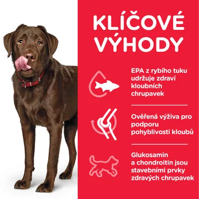 KĽÍČOVÉ VÝHODY: EPA z rybieho tuku udržuje zdravé kĺbové chrupavky, overená výživa pre podporu pohyblivosti kĺbov, glukosamín a chondroitín sú stavebnými prvkami zdravých chrupaviek. Text v češtine.