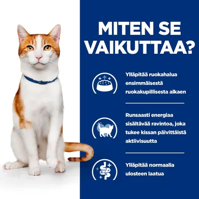Teksti: MITEN SE VAIKUTTAA? Ylläpitää ruokahalua ensimmäisestä ruokakupillisesta alkaen. Runsaasti energiaa sisältävää ravintoa, joka tukee kissan päivittäistä aktiivisuutta. Ylläpitää normaalia ulosteen laatua.