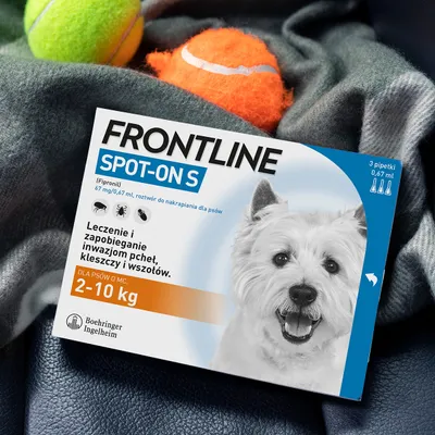 Opakowanie Frontline Spot-On S dla psów 2–10 kg, 3 pipetki po 0,67 ml. Leczenie i zapobieganie inwazjom pcheł, kleszczy i wszołów. Boehringer Ingelheim.