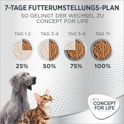 7-Tage-Futterumstellungs-Plan für Concept for Life: Tag 1-2 25%, Tag 3-4 50%, Tag 5-6 75%, Tag 7+ 100%. Hund und Katze abgebildet. Logo von Concept for Life unten rechts.
