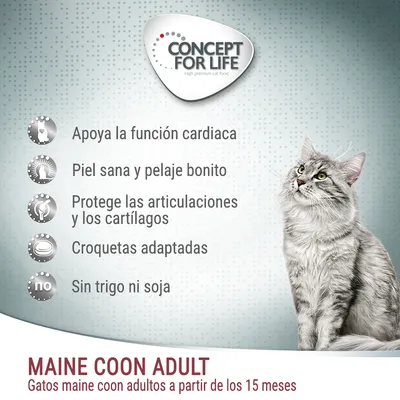 Concept for Life Maine Coon Adult. Apoya la función cardiaca, piel sana y pelaje bonito, protege articulaciones y cartílagos, croquetas adaptadas, sin trigo ni soja. Para gatos maine coon adultos desde 15 meses.