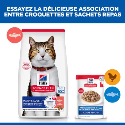Hill's Science Plan Mature Adulte 7+ nourriture pour chat : croquettes au saumon et nourriture humide au poisson de l'océan, recommandées pour les chats âgés. Trois avantages essentiels. Hill's Science Plan Mature Adulte 7+ nourriture pour chat : croquettes au saumon et nourriture humide au poisson de l'océan, recommandées pour les chats âgés. Trois avantages essentiels.