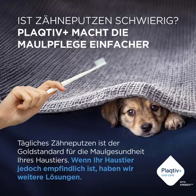 Plaqtiv+ macht die Maulpflege einfacher. Tägliches Zähneputzen ist Goldstandard, bei empfindlichen Haustieren bietet Plaqtiv+ weitere Lösungen. Plaqtiv+ macht die Maulpflege einfacher. Tägliches Zähneputzen ist Goldstandard, bei empfindlichen Haustieren bietet Plaqtiv+ weitere Lösungen.