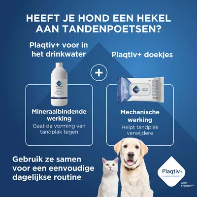Plaqitv+ voor drinkwater en Plaqitv+ Dental Wipes. Mineralbindende werking tegen tandplak, mechanische werking voor verwijdering. Voor een eenvoudige dagelijkse routine. Plaqitv+ voor drinkwater en Plaqitv+ Dental Wipes. Mineralbindende werking tegen tandplak, mechanische werking voor verwijdering. Voor een eenvoudige dagelijkse routine.