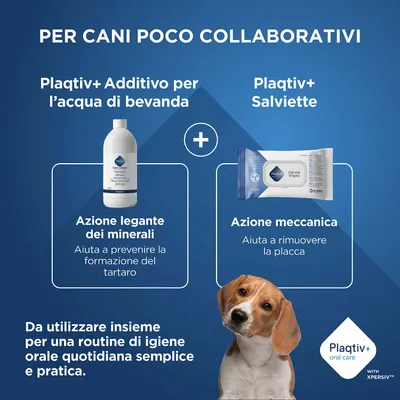 Plaqtiv+ Additivo per acqua potabile e Plaqtiv+ salviette dental. Per una semplice igiene orale quotidiana nei cani, aiuta contro il tartaro e la placca. Plaqtiv+ Additivo per acqua potabile e Plaqtiv+ salviette dental. Per una semplice igiene orale quotidiana nei cani, aiuta contro il tartaro e la placca.