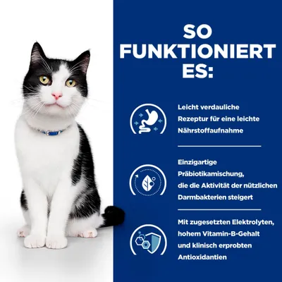 So funktioniert es: Leicht verdauliche Rezeptur, einzigartige Präbiotikamischung zur Steigerung der Darmbakterienaktivität, zugesetzte Elektrolyte, hoher Vitamin-B-Gehalt, Antioxidantien.