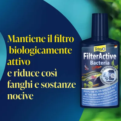 Tetra FilterActive Batteri. Mantiene il filtro biologicamente attivo e riduce il fango, così come le sostanze nocive.