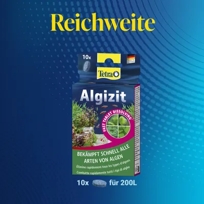 Tetra Algizit - 10 Tabletten Tetra Algizit - 10 Tabletten