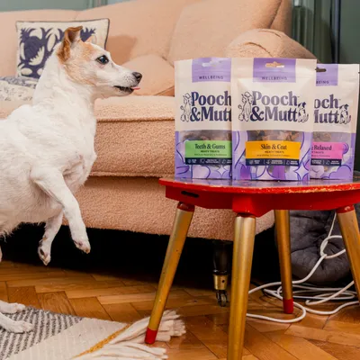 Pooch & Mutt Meaty Treats Taster Pack - Mixed Pack (3 x 120g)